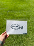 Halibut Print