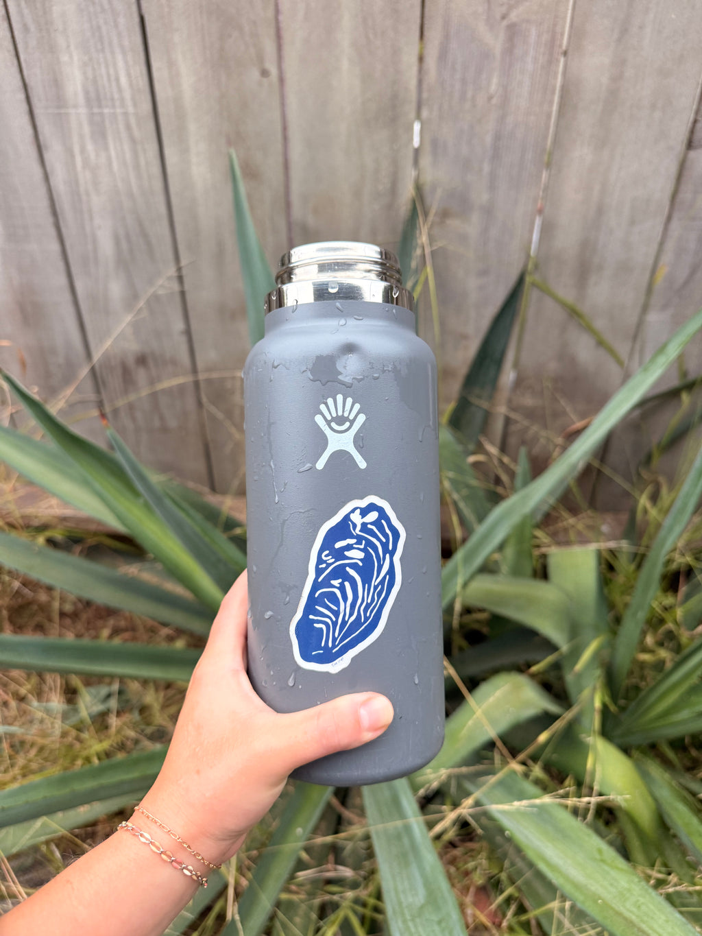 Oyster Sticker