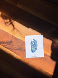 Oyster Mini Print