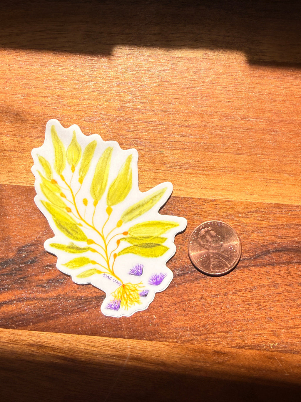 Kelp Sticker