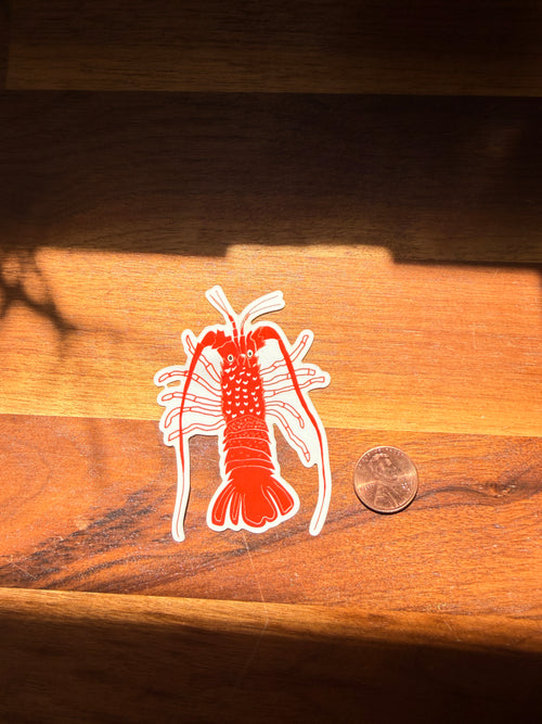 California Spiny Lobster Sticker