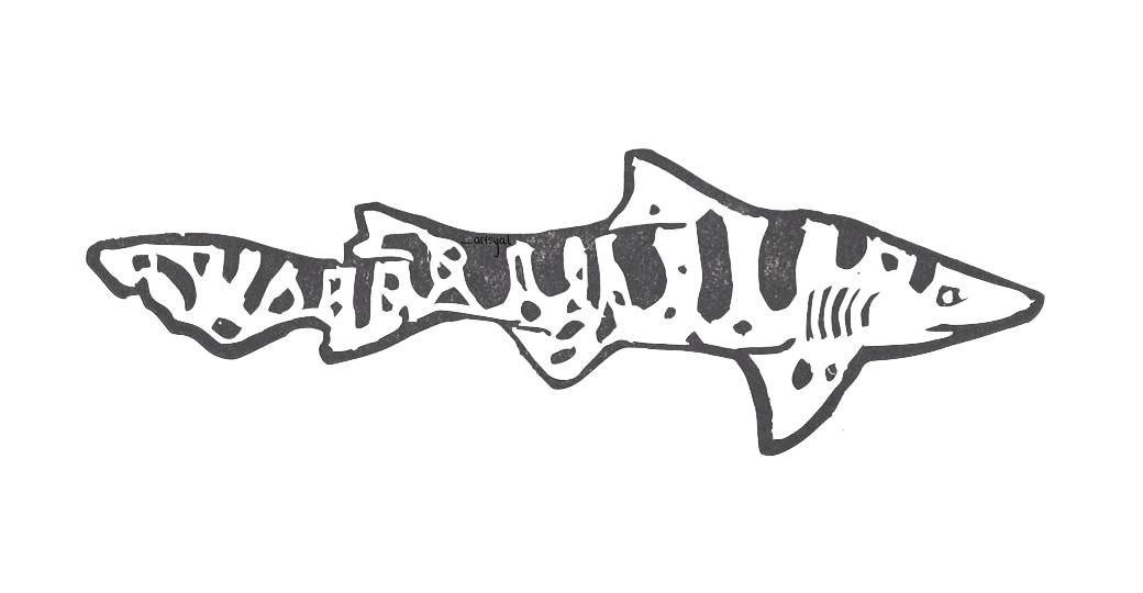 Leopard Shark Sticker