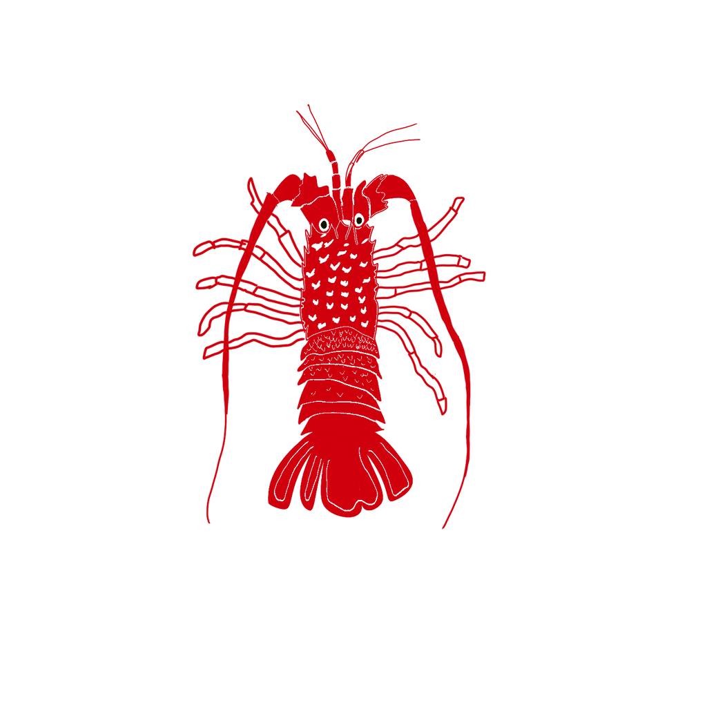 California Spiny Lobster Sticker