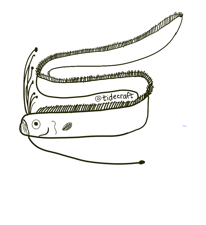 Oarfish Sticker