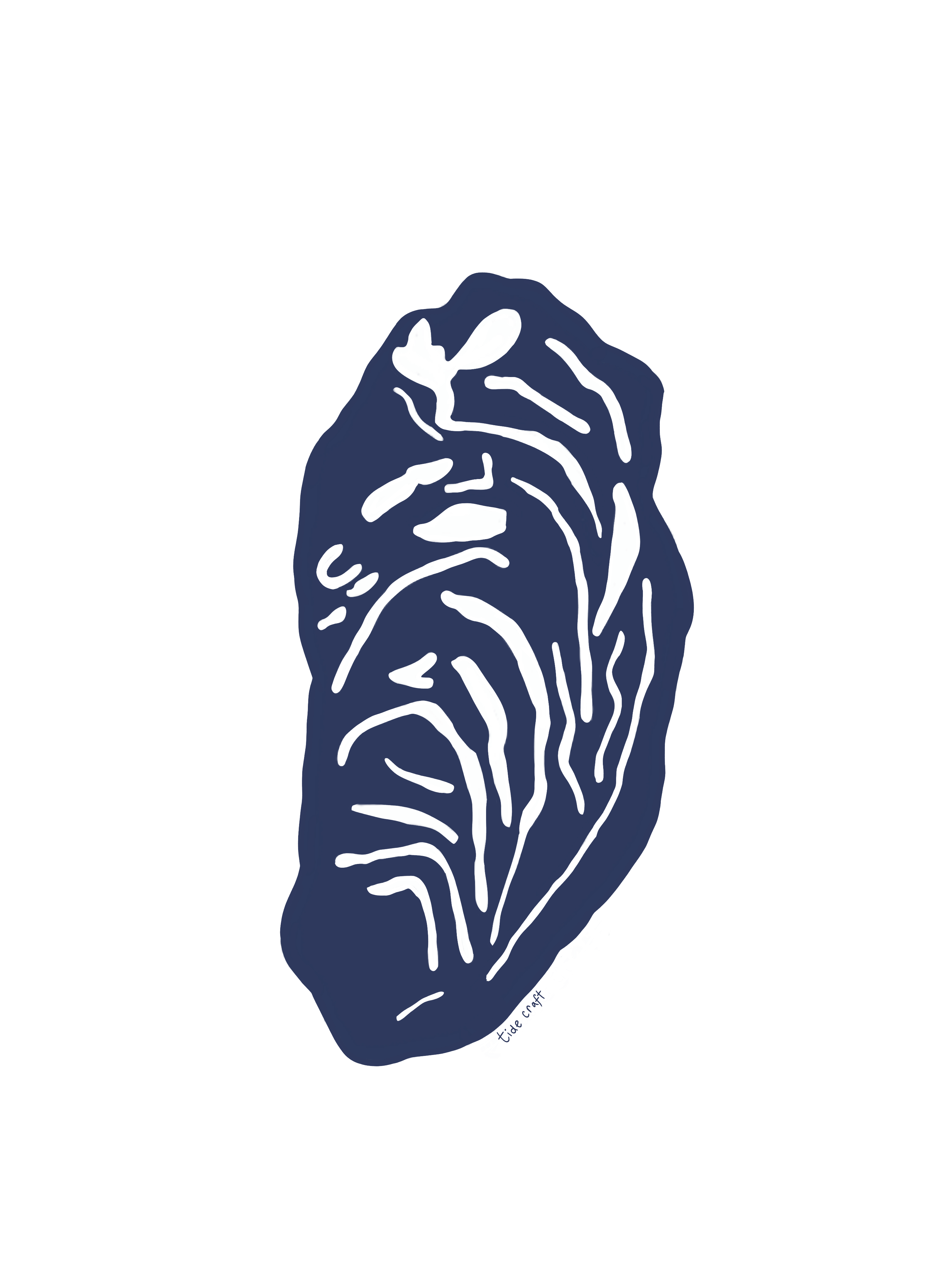 Oyster Sticker