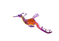 Weedy Seadragon Sticker