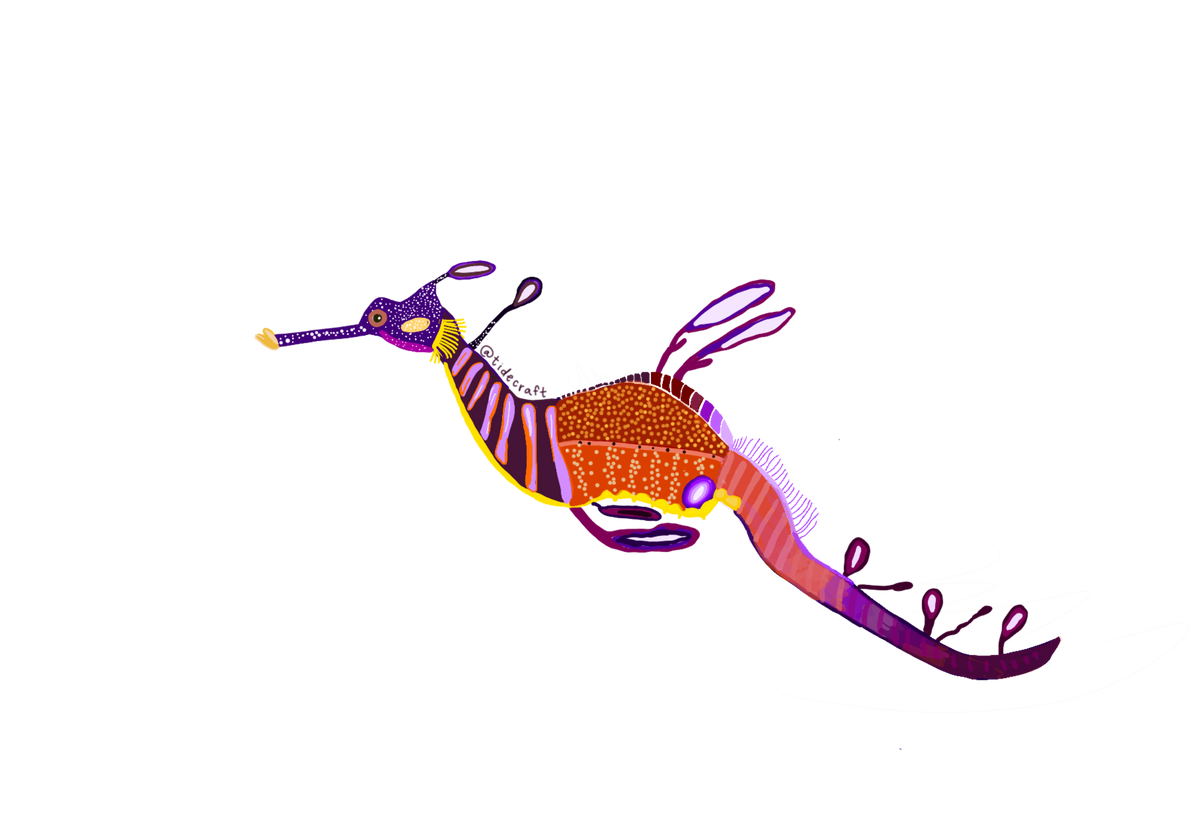 Weedy Seadragon Sticker